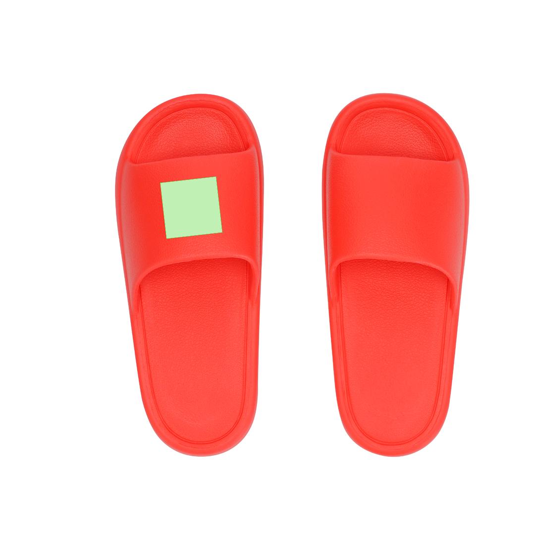 Chanclas Ridel