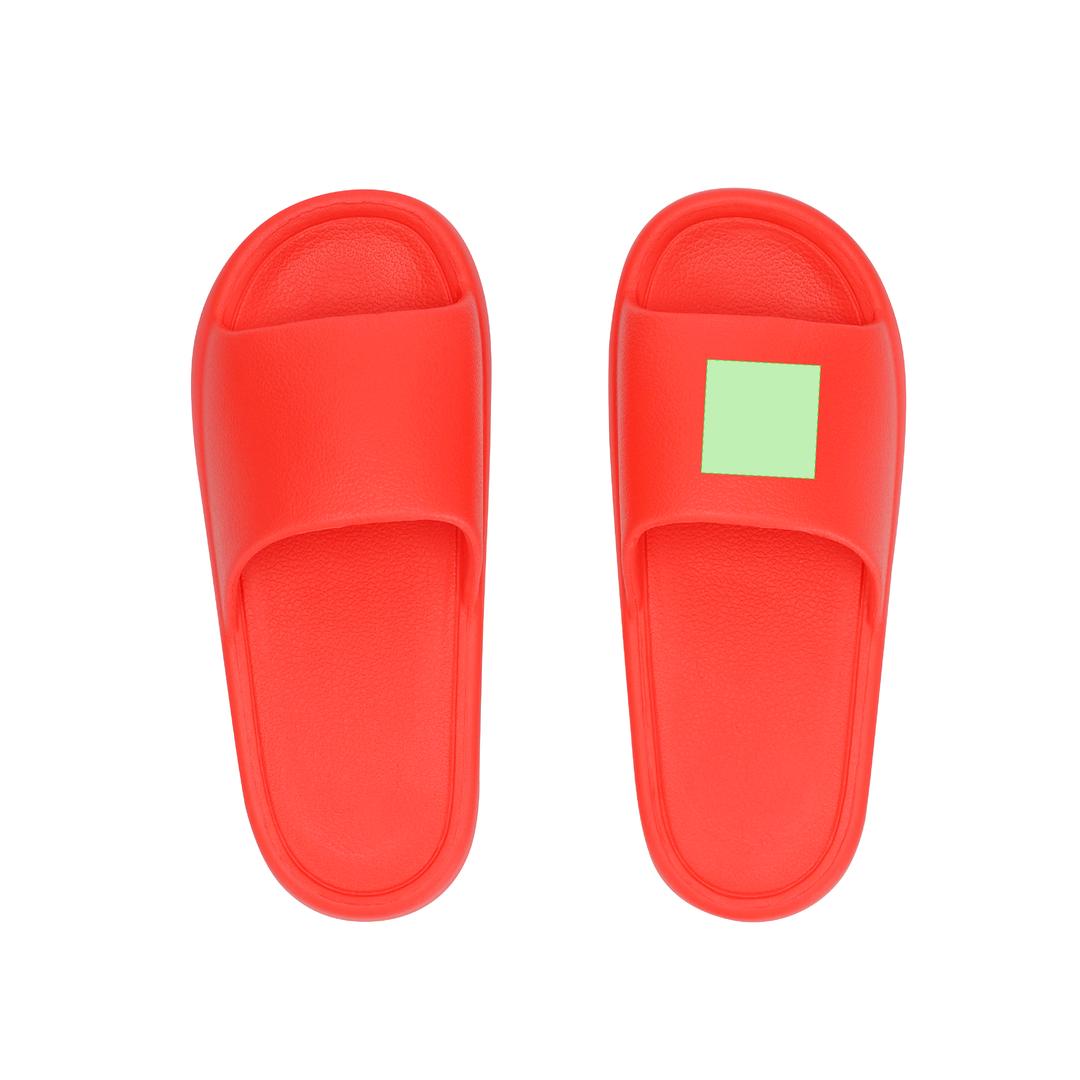 Chanclas Ridel